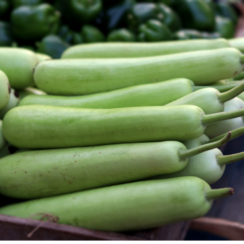 Bottle Gourd Bottle Gourd