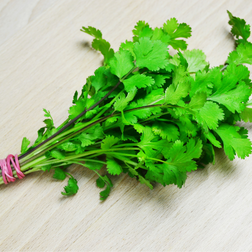 Coriander Coriander
