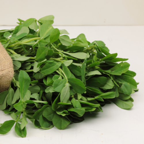 Fenugreek leaves Fenugreek leaves