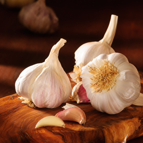 Garlic Garlic