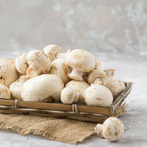 Mushroom Mushroom