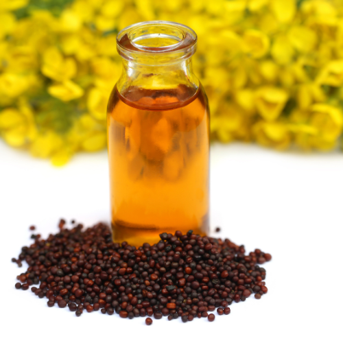 Mustard Oil Mustard Oil