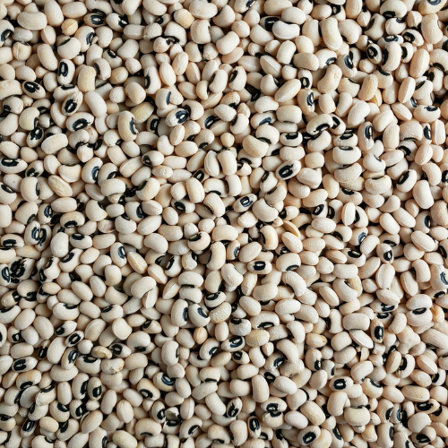 Black Eyes Beans