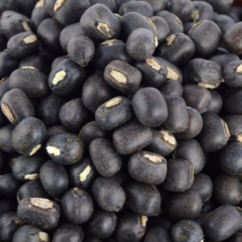 Black Gram