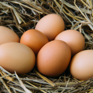 Brown Eggs