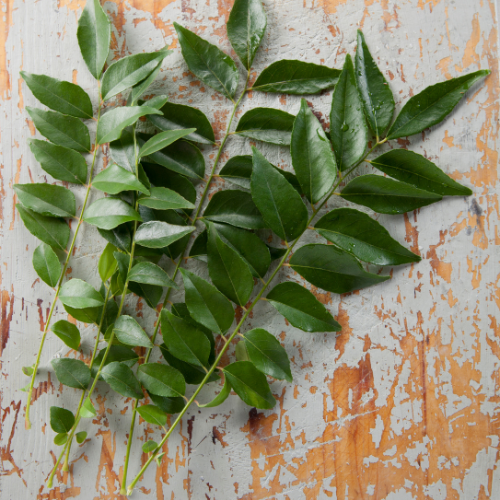 Curry Leaves