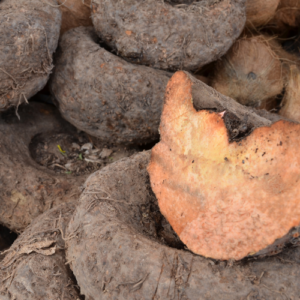 Elephant Yam
