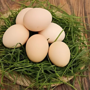 Farm Eggs