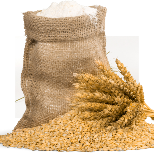 Rice Bran Doc