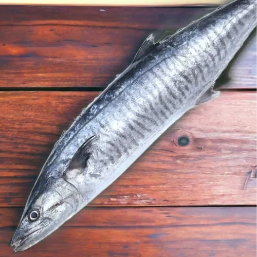 Seer Fish