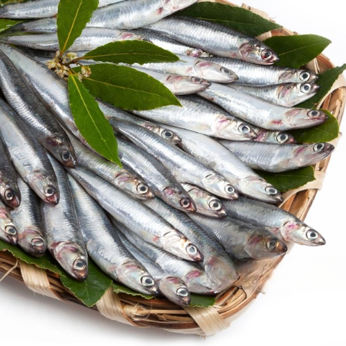 Indian Anchovies Nethili Fish