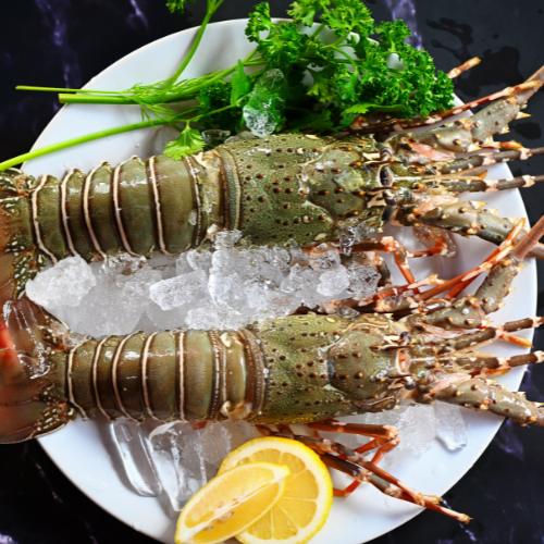 Rock Lobster