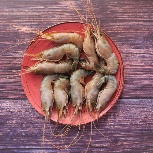 Sea Tiger Prawns