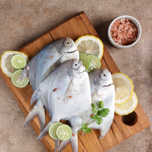 Silver Pomfret