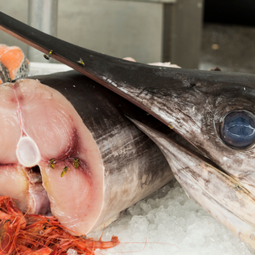 Sword Fish