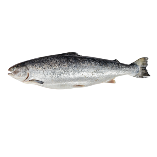White Salmon